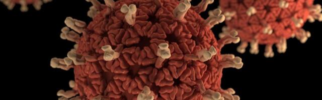 „Pool linnaosa istub poti peal!” Eestit ründab rotaviirus