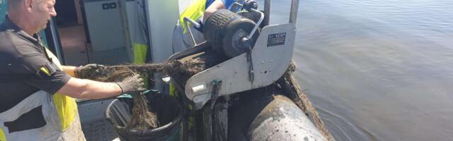 Nelja talgupäevaga eemaldati Peipsist 588 nakkevõrku