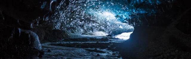 Ajatu: Elu pärast surma biotsentrismi vaatepunktist