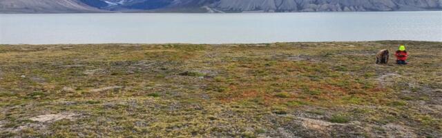 Ekseldes võõrastes teadusmetsades