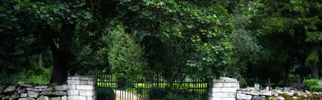 KENOTAAF SAAREMAA METSAVENNALE