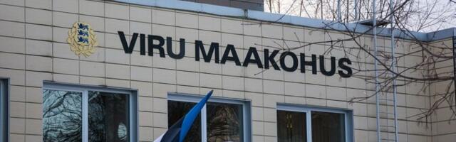 Kohus mõistis kaks tüdrukut vägistanud mehe 12 aastaks vangi