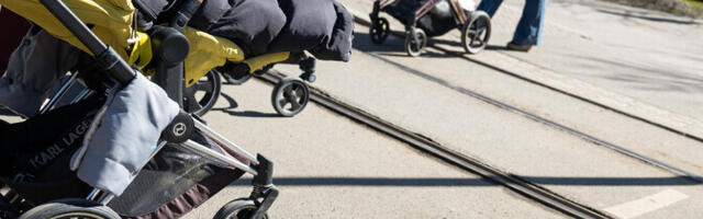 Naisühendused hakkavad taas aasta ema auhinda välja andma