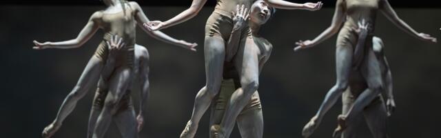 Merevaigukarva portaalid