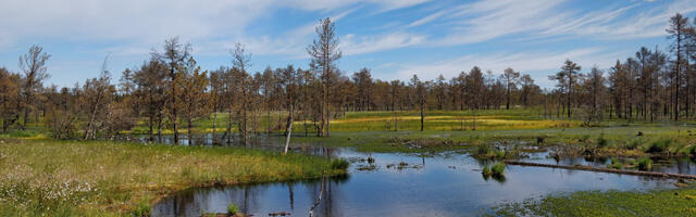 Venemaa astus välja üleilmsest märgalade kaitse konventsioonist 