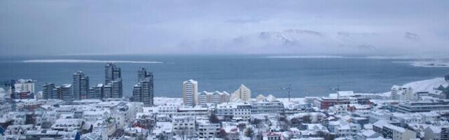 Aktivistide rühm soovib luua Islandi kaitseväge