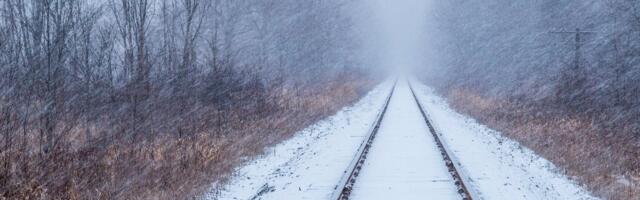 Margus Mikomägi: Kitsekülast laia maailma. Kui juba muidugi hilja pole