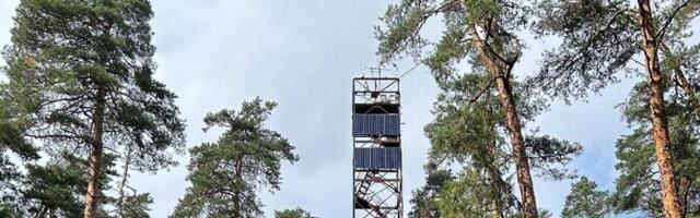 Vana palumets sidus süsinikku seitsmel aastal kaheksast