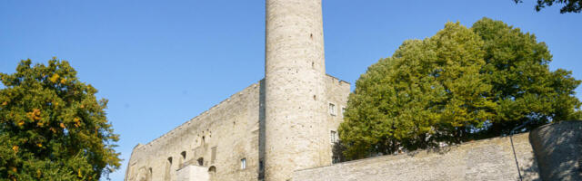 Millal viimati keegi märkas, et Eesti riik tegi riigina midagi oma rahva hüvanguks?