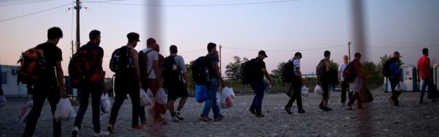 Otkriveno koliko je izbeglica prošlo kroz Srbiju od 2015. godine: Cifra je NEVEROVATNA