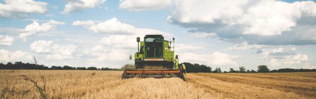 Põllupäeval tutvustatakse uute haljasväetiskultuuride esimese aasta katsetulemusi