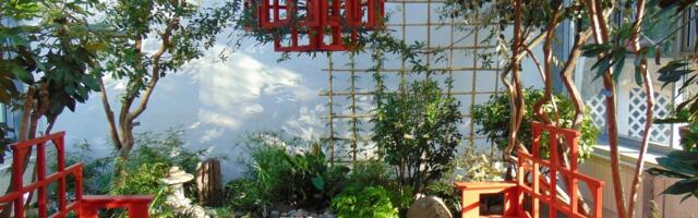 Sagadi väike jaapanlik aed üllatab laia taimevalikuga