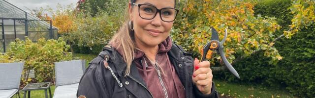 LAHE AED I Käärid on sügisel Anneli Lahe kõige olulisemad tööriistad