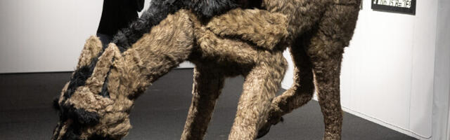 Galerii: Lasnamäe paviljonis avati uus rühmanäitus