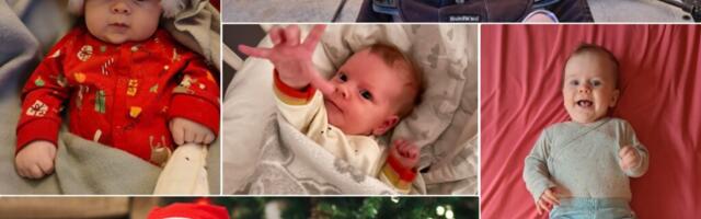 BEEBID 2025 | Palju kannatlikkust ja tingimusteta armastust