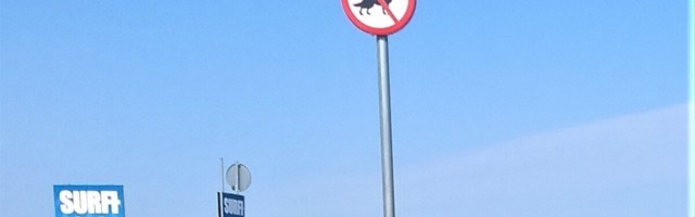 Tallinn keelas tänasest loomade ujutamise kogu Kopli lahes