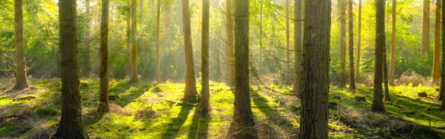 Maikuus toimub Häädemeestel orienteerumismäng
