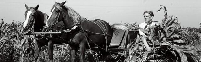 Väikerajoonide jäljed ei luba ajalugu unustada