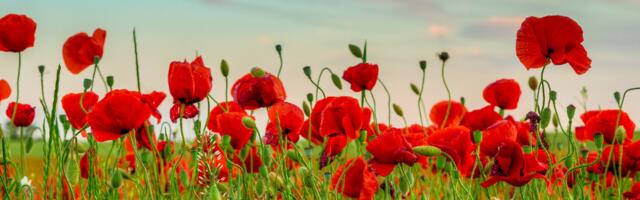 Päevahoroskoop : reede, 27. juuni