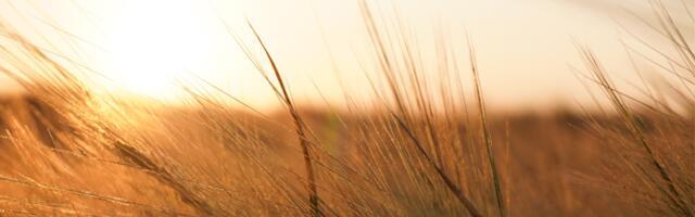 Päevahoroskoop : teisipäev, 5. august