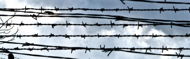 Sellist Eestit me küll ei tahtnud…