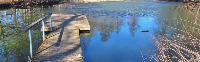 Väikevend NÄDALA FOTO