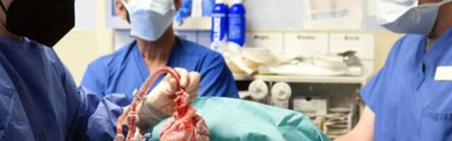 Esimene patsient sai geneetiliselt muundatud sea südame