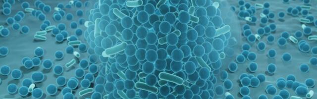 Väitekirjas analüüsitakse ravimkandursüsteeme