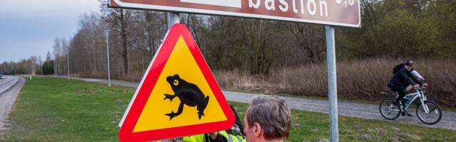 Narva kutsub autojuhte üles märkama konni teel