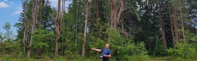 Liitunud Loode-Eesti Metsaühistu töötab suurema eesmärgi nimel