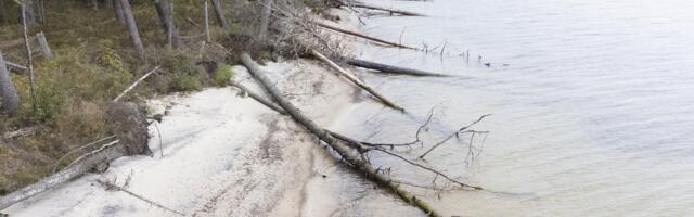 Hiiumaa populaarseim RMK puhkekoht on hävinemas. Kas mängus on inimese käsi?