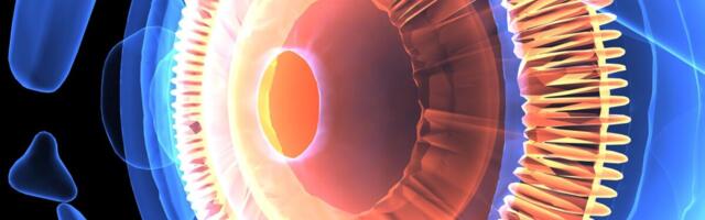 Maarjaliis Paavo kaitseb väitekirja