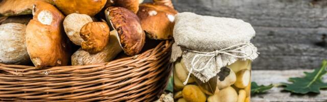 Seened purki ja taldrikule