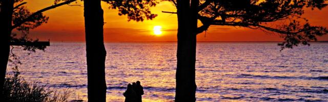 Jaanus Volmre NÄDALA FOTO