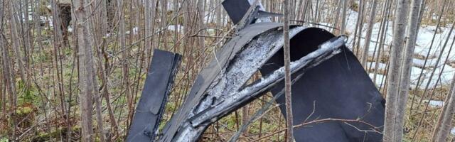 Kaitsevägi: Eesti õhuruumis viibis alla 10 drooni