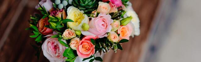 Peipsiääre Vallavalitsuse uus avalike suhete spetsialist on Kadri Külaots