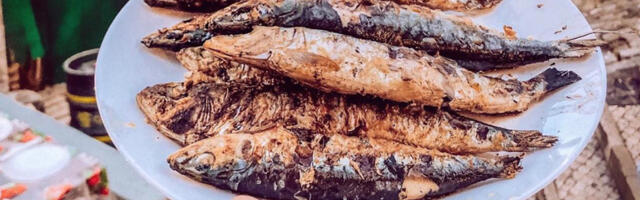 Tartu Ülikool otsib 1,3 miljoni eest kalasöömise massidesse viijat