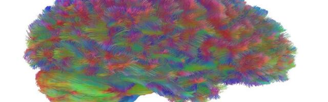 Teadlased määratlesid aju arengu viis etappi