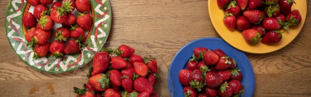 LUGEJA KIRI | Siiri Lehtmets: rahvusriik vs mõni tonn maasikaid? Kas tõesti!?