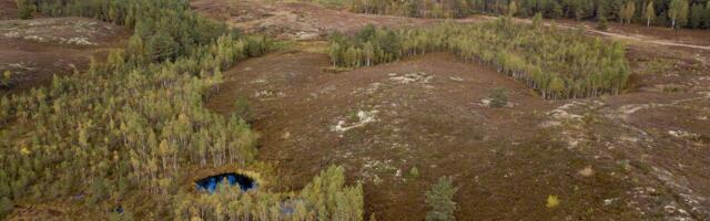 Suvine matkasari toob Valgehobusemäele matkatrenni