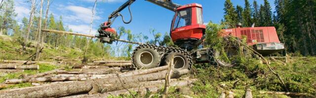 Nelja riigi metsatööstuste ühendused on ELi taastuvenergia direktiiviga rahul