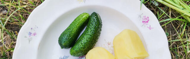 Põdrakanepiga tervenda vaimu ja valmista gurmeerooga