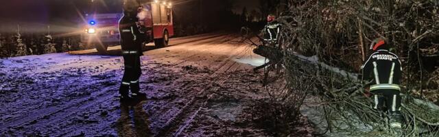 Järvamaal kukkus lume raskuse all murdunud puu lapsi vedanud bussi katusele