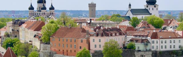 Soomlastel on Eestis uus lemmikpood – see võib olla üllatav