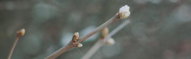 Aprill tõotab tulla jahedapoolne