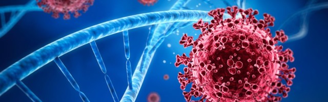 Terviseamet: viiruse hoogne levik ei ole seotud mutatsioonidega, selle taga on meie käitumine