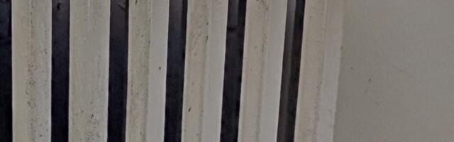 Toasooja hind kallineb