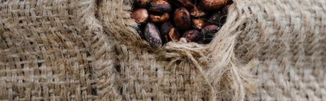 Eesti ettevõtja rajab Costa Ricasse istanduse