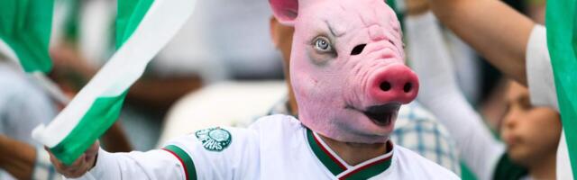 Selles riigis on juba kõik poliitika. Ka seatapp