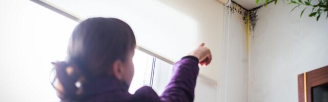 Varjatud puuduste kaebused kasvavad plahvatuslikult. Kuidas kinnisvara müües ellu jääda